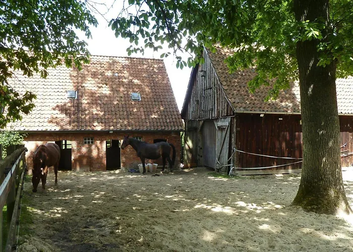 In Апартаменты *